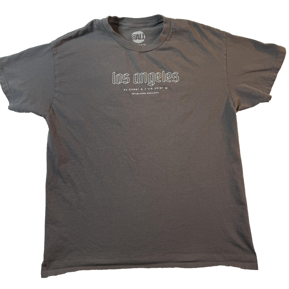 Los Angeles Streetwear TShirt Mens M Gray Coordinates Dove Back Hit Graffiti